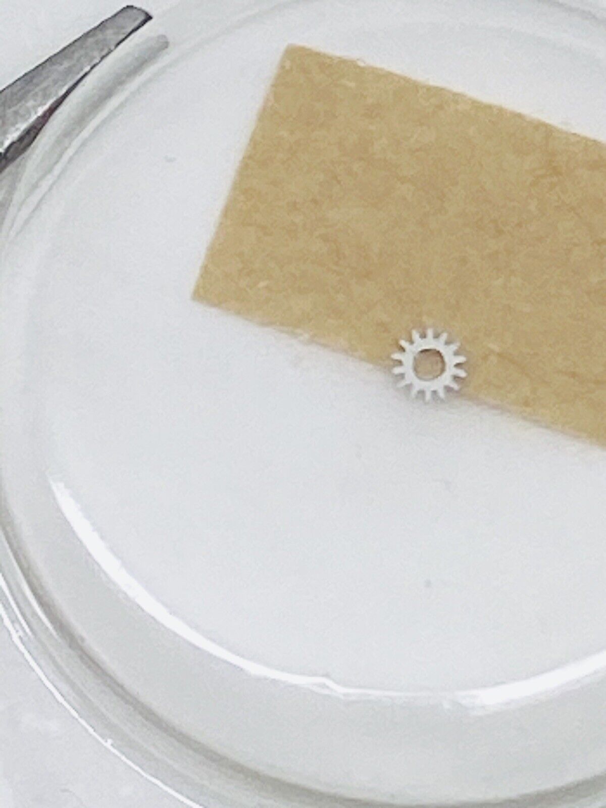 Brand New Rolex Setting Wheel Calibre 3130 3135 Part # 250 Original Packaging
